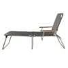 Fiam - Amigo 40+ With Armrest, Grey